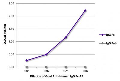ELISA plate was coated with purified human IgG Fc and IgG Fab.  Immunoglobulins were detected with serially diluted Goat Anti-Human IgG Fc-AP (SB Cat. No. 2048-04).