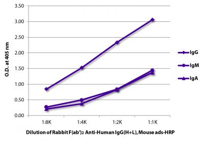 ELISA plate was coated with purified human IgG, IgM, and IgA.  Immunoglobulins were detected with Rabbit F(ab')<sub>2</sub> Anti-Human IgG(H+L), Mouse ads-HRP (SB Cat. No. 6005-05).