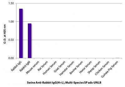 ELISA plate was coated with purified rabbit IgG and IgM and mouse, rat, human, goat, hamster, bovine, horse, sheep, chicken, and guinea pig serum.  Immunoglobulins and sera were detected with Swine Anti-Rabbit IgG(H+L), Multi-Species SP ads-UNLB (SB Cat. No. 6312-01; 1 mg/mL) followed by Goat Anti-Porcine IgG(H+L)-HRP (SB Cat. No. 6050-05).