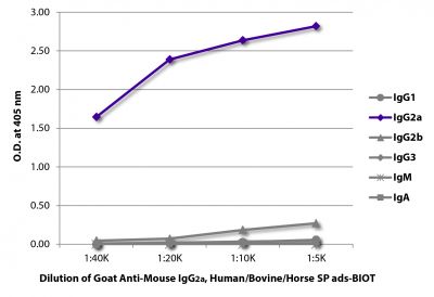 ELISA plate was coated with purified mouse IgG<sub>1</sub>, IgG<sub>2a</sub>, IgG<sub>2b</sub>, IgG<sub>3</sub>, IgM, and IgA.  Immunoglobulins were detected with serially diluted Goat Anti-Mouse IgG<sub>2a</sub>, Human/Bovine/Horse SP ads-BIOT (SB Cat. No. 1083-08) followed by Streptavidin-HRP (SB Cat. No. 7100-05).