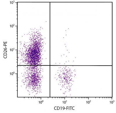 Human peripheral blood lymphocytes were stained with Mouse Anti-Human CD26-PE (SB Cat. No. 9865-09) and Mouse Anti-Human CD19-FITC (SB Cat. No. 9340-02).