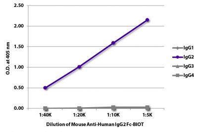 ELISA plate was coated with purified human IgG<sub>1</sub>, IgG<sub>2</sub>, IgG<sub>3</sub>, and IgG<sub>4</sub>.  Immunoglobulins were detected with serially diluted Mouse Anti-Human IgG<sub>2</sub> Fc-BIOT (SB Cat. No. 9070-08) followed by Streptavidin-HRP (SB Cat. No. 7100-05).