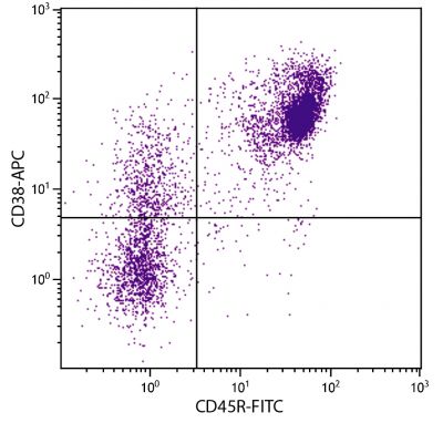 BALB/c mouse splenocytes were stained with Rat Anti-Mouse CD38-APC (SB Cat. No. 1635-11) and Rat Anti-Mouse CD45R-FITC (SB Cat. No. 1665-02).