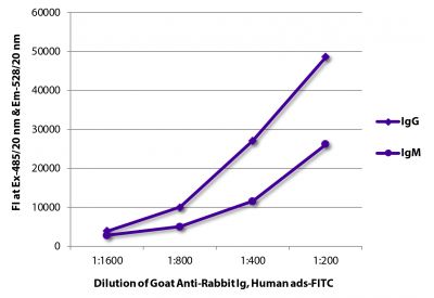 FLISA plate was coated with purified rabbit IgG and IgM.  Immunoglobulins were detected with serially diluted Goat Anti-Rabbit Ig, Human ads-FITC (SB Cat. No. 4010-02).