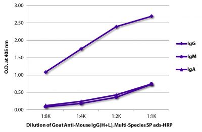 ELISA plate was coated with purified mouse IgG, IgM, and IgA.  Immunoglobulins were detected with serially diluted Goat Anti-Mouse IgG(H+L), Multi-Species SP ads-HRP (SB Cat. No. 1038-05).