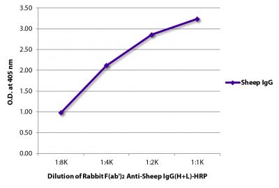 ELISA plate was coated with purified sheep IgG.  Immunoglobulin was detected with Rabbit F(ab')<sub>2</sub> Anti-Sheep IgG(H+L)-HRP (SB Cat. No. 6010-05).