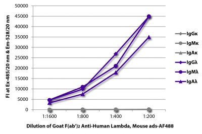 FLISA plate was coated with purified human IgGκ, IgMκ, IgAκ, IgGλ, IgMλ, and IgAλ.  Immunoglobulins were detected with serially diluted Goat F(ab')<sub>2</sub> Anti-Human Lambda, Mouse ads-AF488 (SB Cat. No. 2073-30).