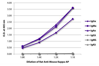 ELISA plate was coated with purified mouse IgGκ, IgMκ, IgAκ, IgGλ, IgMλ, and IgAλ.  Immunoglobulins were detected with serially diluted Rat Anti-Mouse Kappa-AP (SB Cat. No. 1180-04).