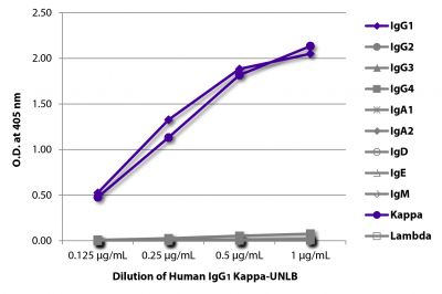 ELISA plate was coated with serially diluted Human IgG<sub>1</sub> Kappa-UNLB (SB Cat. No. 0151K-01).  Immunoglobulin was detected with Mouse Anti-Human IgG<sub>1</sub> Hinge-BIOT (SB Cat. No. 9052-08), Mouse Anti-Human IgG<sub>2</sub> Fc-BIOT (SB Cat. No. 9060-08), Mouse Anti-Human IgG<sub>3</sub> Hinge-BIOT (SB Cat. No. 9210-08), Mouse Anti-Human IgG<sub>4</sub> pFc'-BIOT (SB Cat. No. 9190-08), Mouse Anti-Human IgA<sub>1</sub>-BIOT (SB Cat. No. 9130-08), Mouse Anti-Human IgA<sub>2</sub>-BIOT (SB Cat. No. 9140-08),  Mouse Anti-Human IgD-BIOT (SB Cat. No. 9030-08), Mouse Anti-Human IgE Fc-BIOT (SB Cat. No. 9160-08), Mouse Anti-Human IgM-BIOT (SB Cat. No. 9020-08), Mouse Anti-Human Kappa-BIOT (SB Cat. No. 9230-08), and Mouse Anti-Human Lambda-BIOT (SB Cat. No. 9180-08) followed by Streptavidin-HRP (SB Cat. No. 7100-05) and quantified.