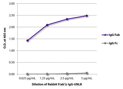 ELISA plate was coated with serially diluted Rabbit F(ab')<sub>2</sub> IgG-UNLB (SB Cat. No. 0112-01).  Immunoglobulin was detected with Goat Anti-Rabbit IgG F(ab')<sub>2</sub>-BIOT and Goat Anti-Rabbit IgG Fc-BIOT (SB Cat. No. 4041-08) followed by Streptavidin-HRP (SB Cat No. 7100-05) and quantified.