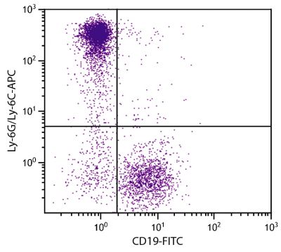 BALB/c mouse bone marrow cells were stained with Rat Anti-Mouse Ly-6G/Ly-6C-APC (SB Cat. No. 1900-11) and Rat Anti-Mouse CD19-FITC (SB Cat. No. 1575-02).