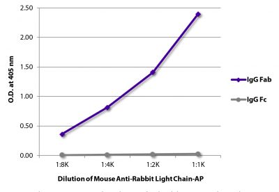 ELISA plate was coated with purified rabbit IgG Fab and IgG Fc.  Immunoglobulins were detected with serially diluted Mouse Anti-Rabbit Light Chain-AP (SB Cat. No. 4060-04).