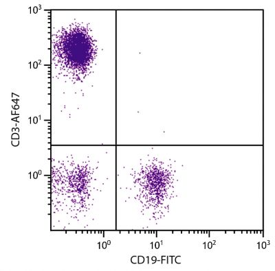Human peripheral blood lymphocytes were stained with Mouse Anti-Human CD3-AF647 (SB Cat. No. 9515-31) and Mouse Anti-Human CD19-FITC (SB Cat. No. 9340-02).
