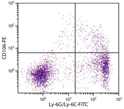 BALB/c mouse bone marrow cells were stained with Rat Anti-Mouse CD106-PE (SB Cat. 1510-09) and Rat Anti-Mouse Ly-6G/Ly-6C-FITC (SB Cat. No. 1900-02).