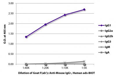 ELISA plate was coated with purified mouse IgG<sub>1</sub>, IgG<sub>2a</sub>, IgG<sub>2b</sub>, IgG<sub>3</sub>, IgM, and IgA.  Immunoglobulins were detected with serially diluted Goat F(ab')<sub>2</sub> Anti-Mouse IgG<sub>1</sub>, Human ads-BIOT (SB Cat. No. 1072-08) followed by Streptavidin-HRP (SB Cat. No. 7100-05).