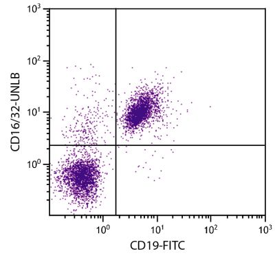 BALB/c mouse splenocytes were stained with Rat Anti-Mouse CD16/32-UNLB (SB Cat. No. 1630-01) and Rat Anti-Mouse CD19-FITC (SB Cat. No. 1575-02) followed by Mouse Anti-Rat IgG<sub>2a</sub>-PE (SB Cat. No. 3065-09).