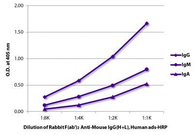 ELISA plate was coated with purified mouse IgG, IgM, and IgA.  Immunoglobulins were detected with serially diluted Rabbit F(ab')<sub>2</sub> Anti-Mouse IgG(H+L), Human ads-HRP (SB Cat. No. 6125-05).