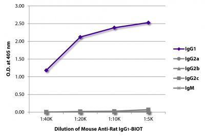 ELISA plate was coated with purified rat IgG<sub>1</sub>, IgG<sub>2a</sub>, IgG<sub>2b</sub>, IgG<sub>2c</sub>, and IgM.  Immunoglobulins were detected with serially diluted Mouse Anti-Rat IgG<sub>1</sub>-BIOT (SB Cat. No. 3061-08) followed by Streptavidin-HRP (SB Cat. No. 7100-05).