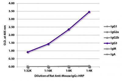 ELISA plate was coated with purified mouse IgG<sub>1</sub>, IgG<sub>2a</sub>, IgG<sub>2b</sub>, IgG<sub>3</sub>, IgM, and IgA.  Immunoglobulins were detected with serially diluted Rat Anti-Mouse IgG<sub>3</sub>-HRP (SB Cat. No. 1191-05).