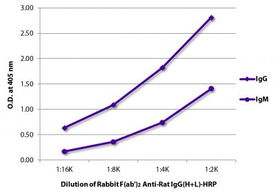 ELISA plate was coated with purified rat IgG and IgM.  Immunoglobulins were detected with serially diluted Rabbit F(ab')<sub>2</sub> Anti-Rat IgG(H+L), Human ads-HRP (SB Cat. No. 6135-05).