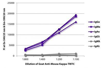 FLISA plate was coated with purified mouse IgGκ, IgMκ, IgAκ, IgGλ, IgMλ, and IgAλ.  Immunoglobulins were detected with serially diluted Goat Anti-Mouse Kappa-TRITC (SB Cat. No. 1050-03).