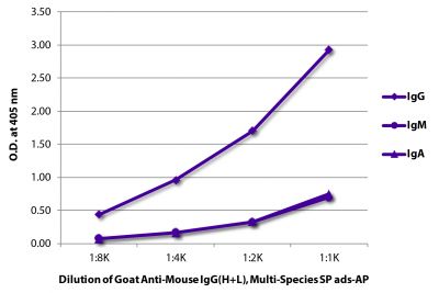 ELISA plate was coated with purified mouse IgG, IgM, and IgA.  Immunoglobulins were detected with serially diluted Goat Anti-Mouse IgG(H+L), Multi-Species SP ads-AP (SB Cat. No. 1038-04).