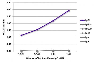 ELISA plate was coated with purified mouse IgG<sub>1</sub>, IgG<sub>2a</sub>, IgG<sub>2b</sub>, IgG<sub>3</sub>, IgM, and IgA.  Immunoglobulins were detected with serially diluted Rat Anti-Mouse IgG<sub>1</sub>-HRP (SB Cat. No. 1144-05).