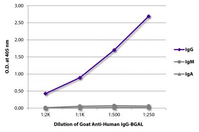 ELISA plate was coated with purified human IgG, IgM, and IgA.  Immunoglobulins were detected with serially diluted Goat Anti-Human IgG-BGAL (SB Cat. No. 2040-06).