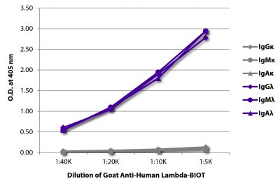ELISA plate was coated with purified human IgGκ, IgMκ, IgAκ, IgGλ, IgMλ, and IgAλ.  Immunoglobulins were detected with serially diluted Goat Anti-Human Lambda-BIOT (SB Cat. No. 2070-08) followed by Streptavidin-HRP (SB Cat. No. 7100-05).