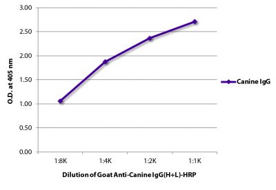 ELISA plate was coated with purified canine IgG.  Immunoglobulin was detected with Goat Anti-Canine IgG(H+L)-HRP (SB Cat. No. 6070-05).