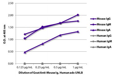 ELISA plate was coated with purified mouse IgG, IgM, and IgA and human IgG, IgM, and IgA.  Immunoglobulins were detected with serially diluted Goat Anti-Mouse Ig, Human ads-UNLB (SB Cat. No. 1010-01) followed by Mouse Anti-Goat IgG Fc-HRP (SB Cat. No. 6158-05).