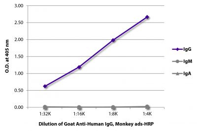 ELISA plate was coated with purified human IgG, IgM, and IgA.  Immunoglobulins were detected with serially diluted Goat Anti-Human IgG, Monkey ads-HRP (SB Cat. No. 2049-05).