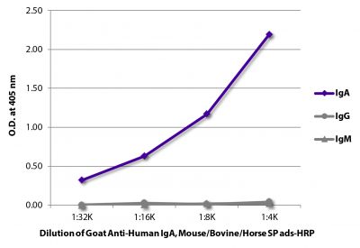 ELISA plate was coated with purified human IgA, IgG, and IgM.  Immunoglobulins were detected with serially diluted Goat Anti-Human IgA, Mouse/Bovine/Horse SP ads-HRP (SB Cat. No. 2053-05).