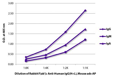 ELISA plate was coated with purified human IgG, IgM, and IgA.  Immunoglobulins were detected with Rabbit F(ab')<sub>2</sub> Anti-Human IgG(H+L), Mouse ads-AP (SB Cat. No. 6005-04).