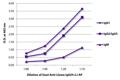 ELISA plate was coated with purified llama IgG<sub>1</sub>, IgG<sub>2</sub>/IgG<sub>3</sub>, and IgM.  Immunoglobulins were detected with Goat Anti-Llama IgG(H+L)-AP (SB Cat. No. 6045-04).