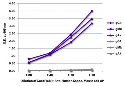 ELISA plate was coated with purified human IgGκ, IgMκ, IgAκ, IgGλ, IgMλ, and IgAλ.  Immunoglobulins were detected with serially diluted Goat F(ab')<sub>2</sub> Anti-Human Kappa, Mouse ads-AP (SB Cat. No. 2063-04).