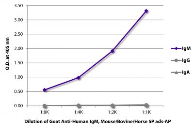 ELISA plate was coated with purified human IgM, IgG, and IgA.  Immunoglobulins were detected with serially diluted Goat Anti-Human IgM, Mouse/Bovine/Horse SP ads-AP  (SB Cat. No. 2023-04).