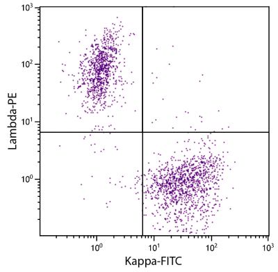 CD19+ human B-lymphocytes were stained with Goat Anti-Human Kappa-FITC (SB Cat. 2060-02) and Goat F(ab')<sub>2</sub> Anti-Human Lambda, Mouse ads-PE (SB Cat. No. 2073-09).