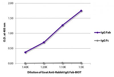 ELISA plate was coated with purified rabbit IgG Fab and IgG Fc.  Immunoglobulins were detected with serially diluted Goat Anti-Rabbit IgG Fab-BIOT (SB Cat. No. 4040-08) followed by Streptavidin-HRP (SB Cat. No. 7100-05).