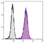 Human T cell leukemia cell line Jurkat was intracellularly stained with Mouse Anti-Human CD107b-UNLB (SB Cat. No. 9840-01) followed by Goat Anti-Mouse IgG<sub>1</sub>, Human ads-FITC (SB Cat. No. 1070-02).