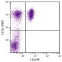 Porcine peripheral blood lymphocytes were stained with Mouse Anti-Porcine CD3ε-SPRD (SB Cat. No. 4510-13) and Mouse Anti-Porcine CD4-PE (SB Cat. No. 4515-09).