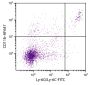 BALB/c mouse splenocytes were stained with Rat Anti-Mouse CD11b-AF647 (SB Cat. No. 1561-31) and Rat Anti-Mouse Ly-6G/Ly-6C-FITC (SB Cat. No. 1900-02).