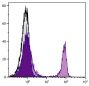 BALB/c mouse splenocytes were stained with Rat Anti-Mouse CD4-UNLB (SB Cat. 1540-01) followed by Goat Anti-Rat IgG(H+L), Mouse ads-PE (SB Cat. No. 3050-09S).