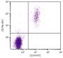 Human peripheral blood lymphocytes were stained with Mouse Anti-Human CD79b-APC (SB Cat. No. 9710-11) and Mouse Anti-Human CD19-FITC (SB Cat. No. 9340-02).