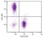 BALB/c mouse splenocytes were stained with Rat Anti-Mouse CD5-APC (SB Cat. No. 1547-11) and Rat Anti-Mouse CD19-FITC (SB Cat. No. 1575-02).