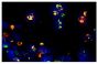 Frozen thermally burned mouse tissue section was stained with Rat Anti-Mouse CD11b-FITC (SB Cat. No. 1560-02S) and Rat Anti-Mouse Ly-6G/Ly-6C-PE (SB Cat. No. 1900-09) followed by mounting with DAPI containing medium.<br/>Image from Everett J, Turner K, Cai Q, Gordon V, Whiteley M, Rumbaugh K. Arginine is a critical substrate for the pathogenesis of <i>Pseudomonas aeruginosa</i> in burn wound infections. MBio. 2017;8:e02160-16. Figure S1<br/>Reproduced under the Creative Commons license https://creativecommons.org/licenses/by/4.0/