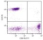 Human peripheral blood lymphocytes were stained with Mouse Anti-Human CD8-PE/CY7 (SB Cat. No. 9536-17) and Mouse Anti-Human CD4-PE (SB Cat. No. 9522-09).
