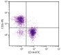 BALB/c mouse splenocytes were stained with Rat Anti-Mouse CD3ε-PE (SB Cat. No. 1535-09) and Rat Anti-Mouse CD19-FITC (SB Cat. No. 1575-02).