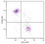 SJL mouse splenocytes were stained with Rat Anti-Mouse CD38-APC (SB Cat. No. 1640-11) and Rat Anti-Mouse CD3ε-FITC (SB Cat. No. 1535-02).