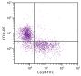 C57BL/6 mouse splenocytes were stained with Rat Anti-Mouse CD24-FITC (SB Cat. No. 1590-02) and Rat Anti-Mouse CD3ε-PE (SB Cat. No. 1535-09).